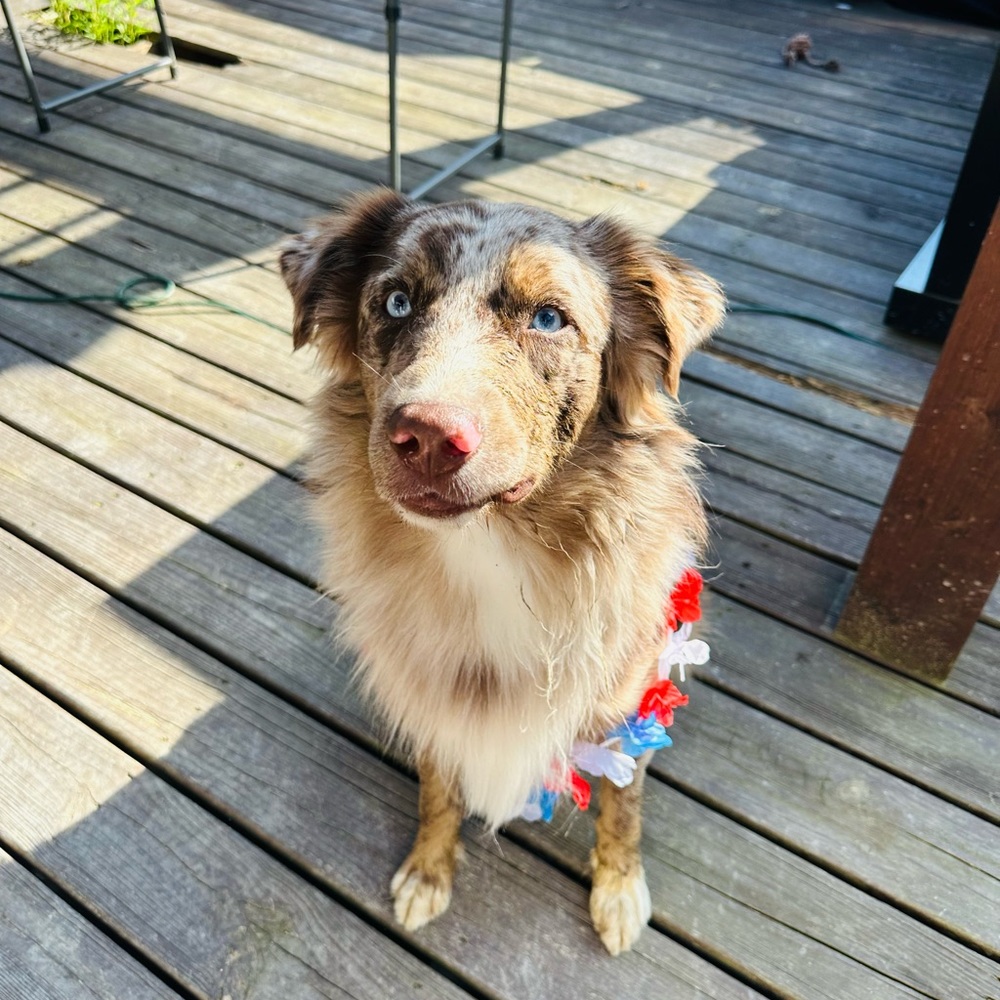 Meet your Posher, Adrienne